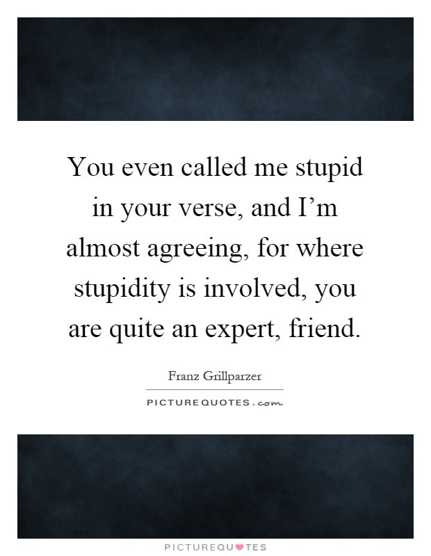 You even called me stupid in your verse, and I'm almost agreeing, for where stupidity is involved, you are quite an expert, friend Picture Quote #1