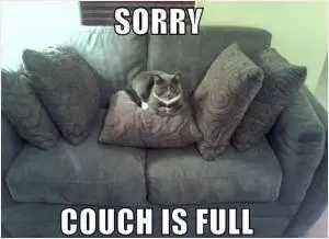 Sorry couch is full Picture Quote #1
