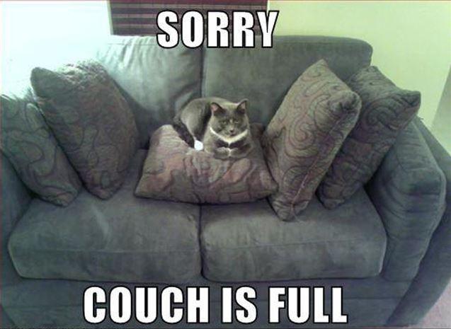 Sorry couch is full Picture Quote #1