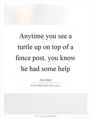 Anytime you see a turtle up on top of a fence post, you know he had some help Picture Quote #1
