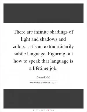 There are infinite shadings of light and shadows and colors... it’s an extraordinarily subtle language. Figuring out how to speak that language is a lifetime job Picture Quote #1