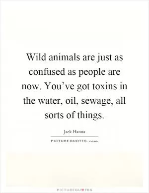 Wild animals are just as confused as people are now. You’ve got toxins in the water, oil, sewage, all sorts of things Picture Quote #1
