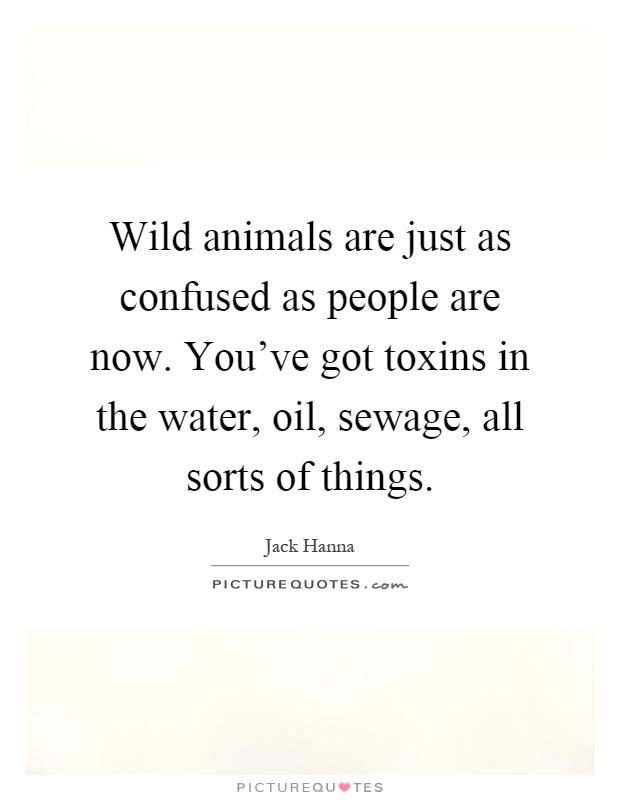 Wild animals are just as confused as people are now. You've got toxins in the water, oil, sewage, all sorts of things Picture Quote #1