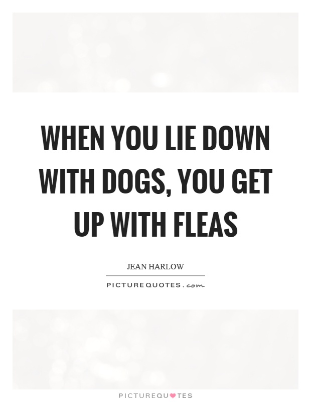 When you lie down with dogs, you get up with fleas Picture Quote #1