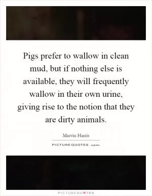 Pigs prefer to wallow in clean mud, but if nothing else is available, they will frequently wallow in their own urine, giving rise to the notion that they are dirty animals Picture Quote #1