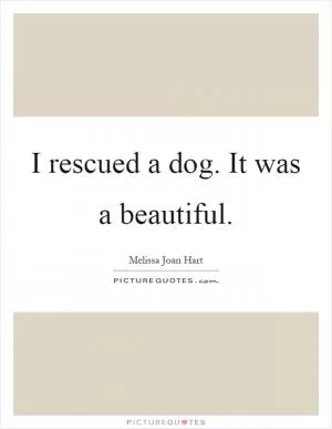 I rescued a dog. It was a beautiful Picture Quote #1