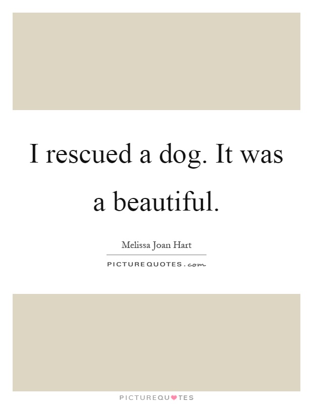 I rescued a dog. It was a beautiful Picture Quote #1