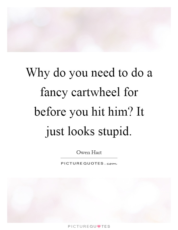 Why do you need to do a fancy cartwheel for before you hit him? It just looks stupid Picture Quote #1
