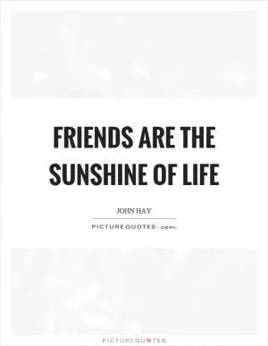 Friends are the sunshine of life Picture Quote #1