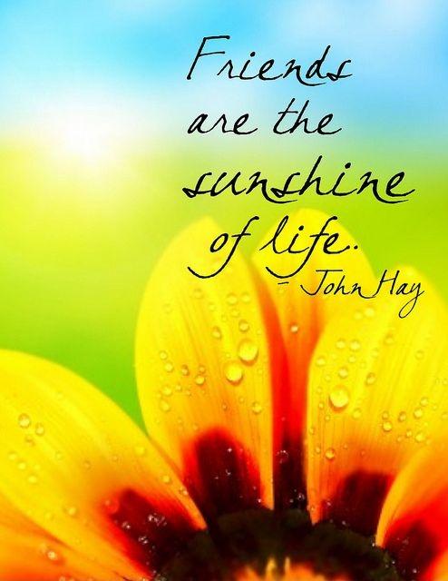Friends are the sunshine of life Picture Quote #2