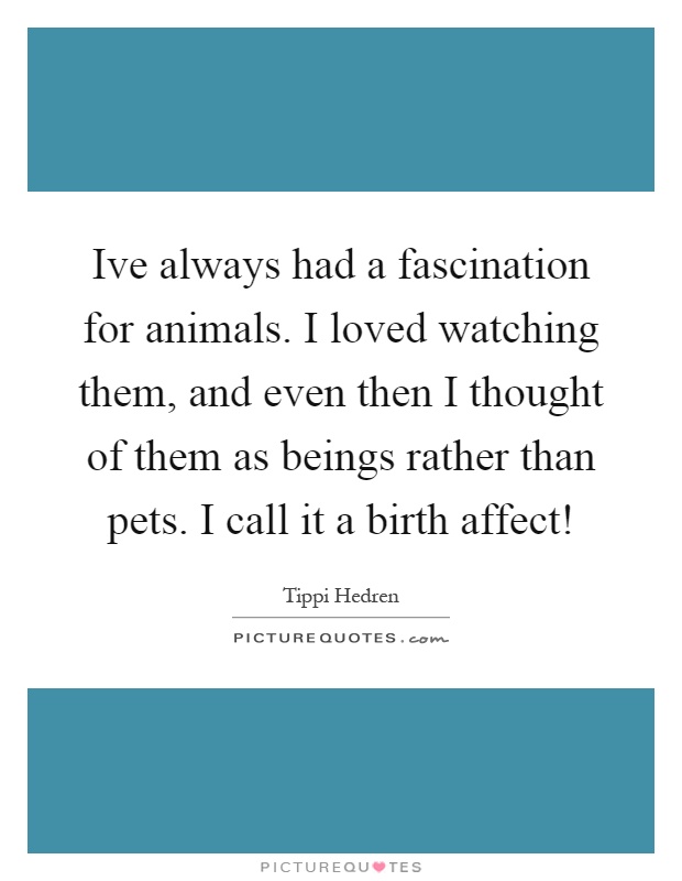 Ive always had a fascination for animals. I loved watching them, and even then I thought of them as beings rather than pets. I call it a birth affect! Picture Quote #1