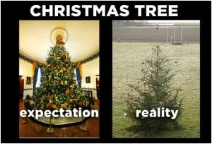 Christmas tree. Expectation. Reality Picture Quote #1