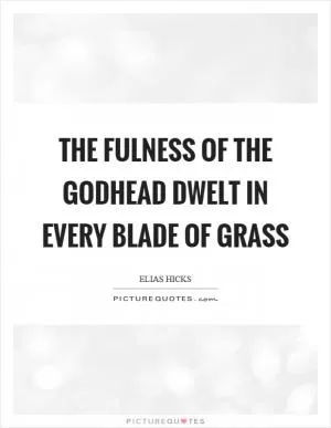 The fulness of the godhead dwelt in every blade of grass Picture Quote #1