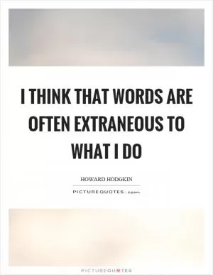 I think that words are often extraneous to what I do Picture Quote #1