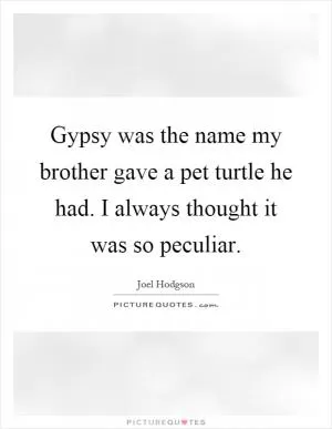 Gypsy was the name my brother gave a pet turtle he had. I always thought it was so peculiar Picture Quote #1
