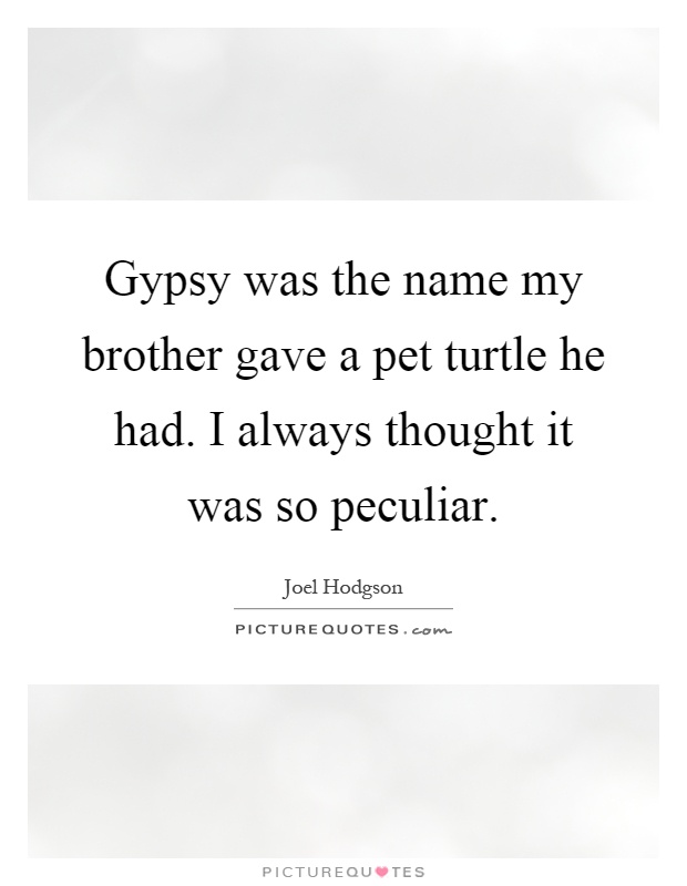 Gypsy was the name my brother gave a pet turtle he had. I always thought it was so peculiar Picture Quote #1