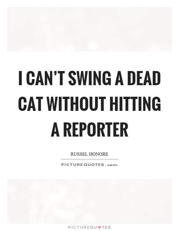 I can't swing a dead cat without hitting a reporter Picture Quote #1