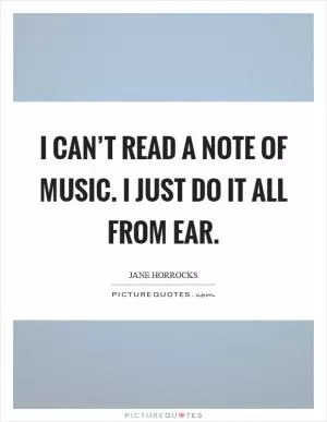 I can’t read a note of music. I just do it all from ear Picture Quote #1
