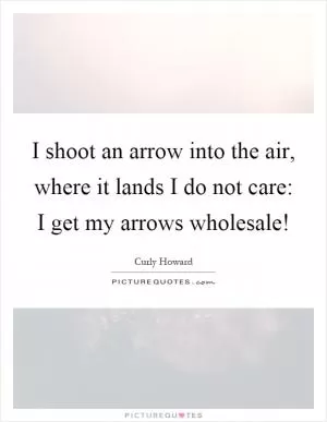 I shoot an arrow into the air, where it lands I do not care: I get my arrows wholesale! Picture Quote #1