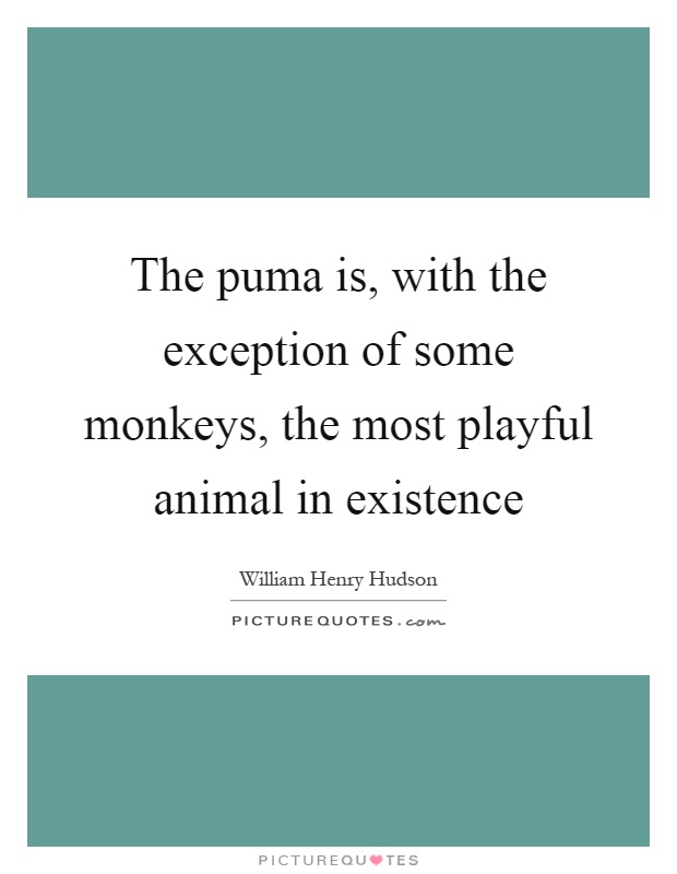 The puma is, with the exception of some monkeys, the most playful animal in existence Picture Quote #1