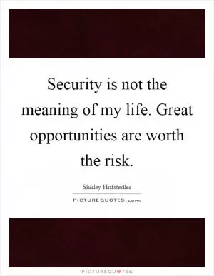 Security is not the meaning of my life. Great opportunities are worth the risk Picture Quote #1