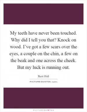 My teeth have never been touched. Why did I tell you that? Knock on wood. I’ve got a few scars over the eyes, a couple on the chin, a few on the beak and one across the cheek. But my luck is running out Picture Quote #1