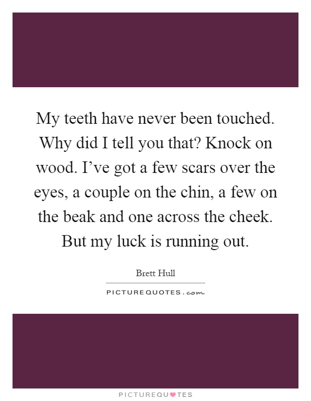 My teeth have never been touched. Why did I tell you that? Knock on wood. I've got a few scars over the eyes, a couple on the chin, a few on the beak and one across the cheek. But my luck is running out Picture Quote #1