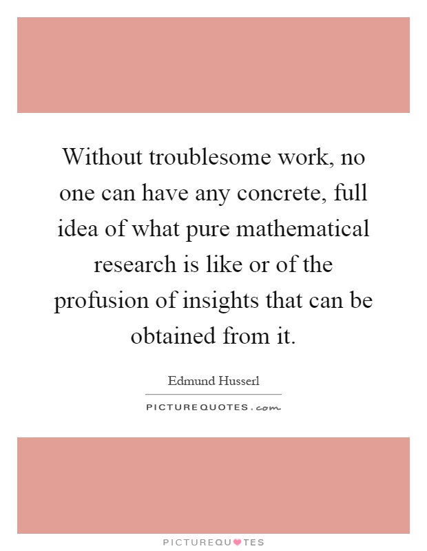 Without troublesome work, no one can have any concrete, full idea of what pure mathematical research is like or of the profusion of insights that can be obtained from it Picture Quote #1