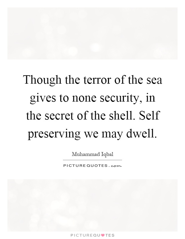 Though the terror of the sea gives to none security, in the secret of the shell. Self preserving we may dwell Picture Quote #1