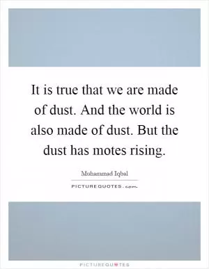 It is true that we are made of dust. And the world is also made of dust. But the dust has motes rising Picture Quote #1