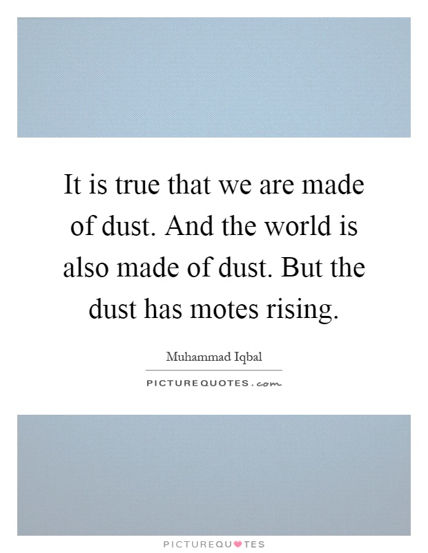 It is true that we are made of dust. And the world is also made of dust. But the dust has motes rising Picture Quote #1