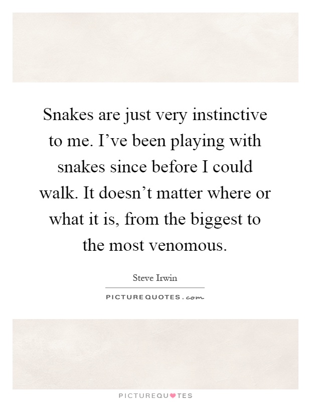 Snakes are just very instinctive to me. I've been playing with snakes since before I could walk. It doesn't matter where or what it is, from the biggest to the most venomous Picture Quote #1