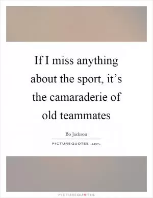If I miss anything about the sport, it’s the camaraderie of old teammates Picture Quote #1