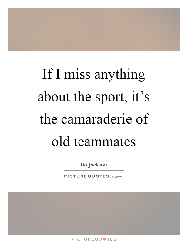 If I miss anything about the sport, it's the camaraderie of old teammates Picture Quote #1