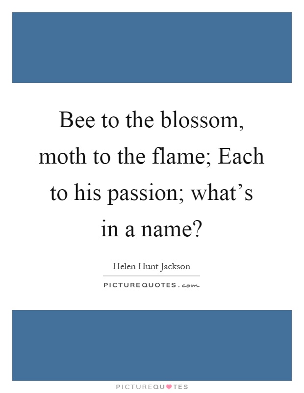 Bee to the blossom, moth to the flame; Each to his passion; what's in a name? Picture Quote #1