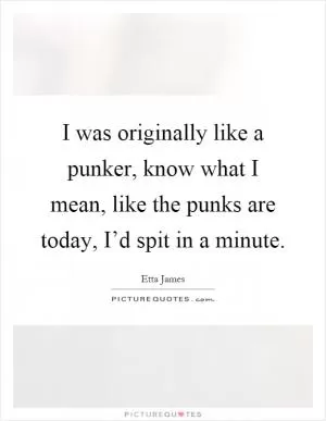 I was originally like a punker, know what I mean, like the punks are today, I’d spit in a minute Picture Quote #1