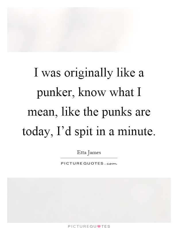 I was originally like a punker, know what I mean, like the punks are today, I'd spit in a minute Picture Quote #1