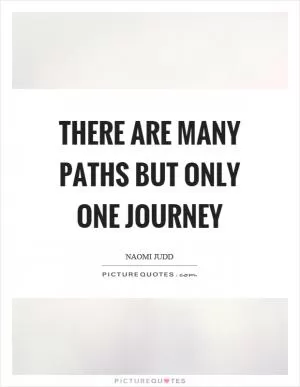 There are many paths but only one journey Picture Quote #1