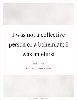 I was not a collective person or a bohemian; I was an elitist Picture Quote #1