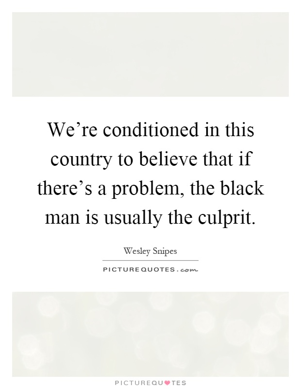 We're conditioned in this country to believe that if there's a problem, the black man is usually the culprit Picture Quote #1