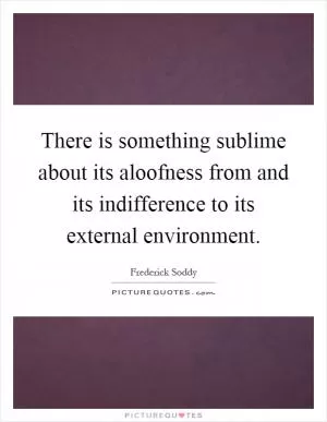 There is something sublime about its aloofness from and its indifference to its external environment Picture Quote #1