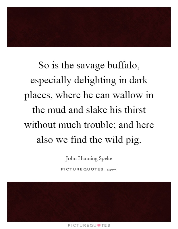 So is the savage buffalo, especially delighting in dark places, where he can wallow in the mud and slake his thirst without much trouble; and here also we find the wild pig Picture Quote #1