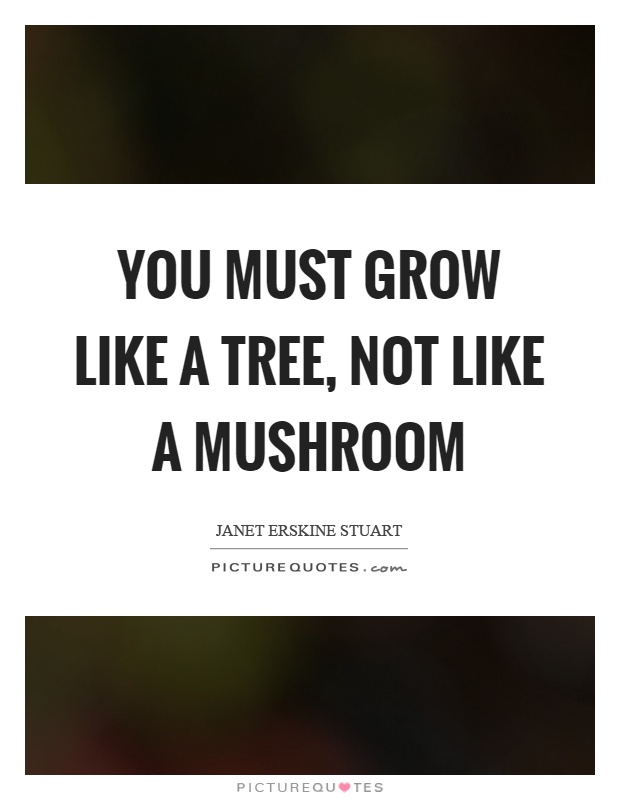 You must grow like a tree, not like a mushroom Picture Quote #1