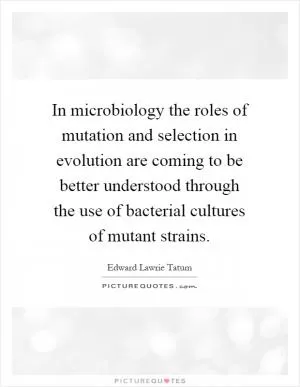 In microbiology the roles of mutation and selection in evolution are coming to be better understood through the use of bacterial cultures of mutant strains Picture Quote #1