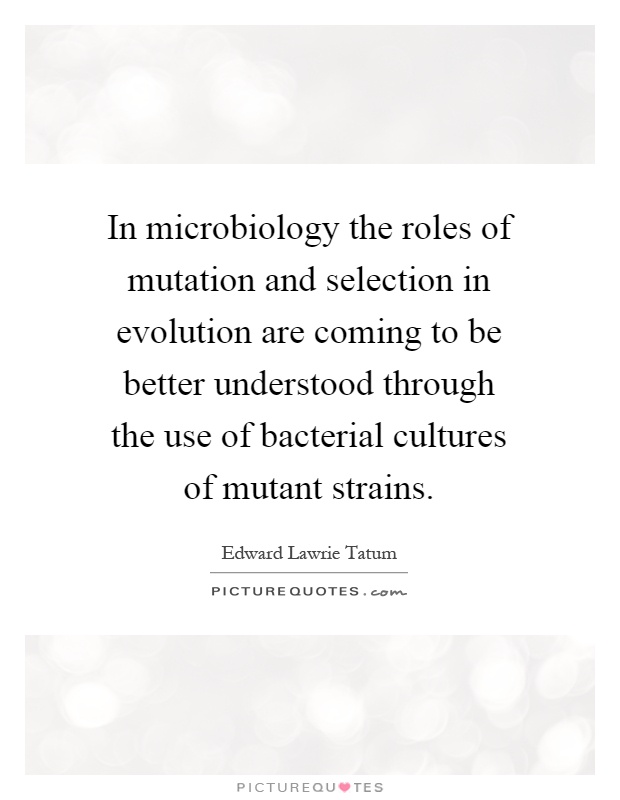 In microbiology the roles of mutation and selection in evolution are coming to be better understood through the use of bacterial cultures of mutant strains Picture Quote #1