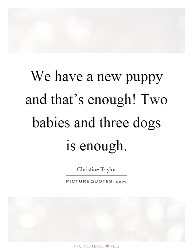 We have a new puppy and that's enough! Two babies and three dogs is enough Picture Quote #1