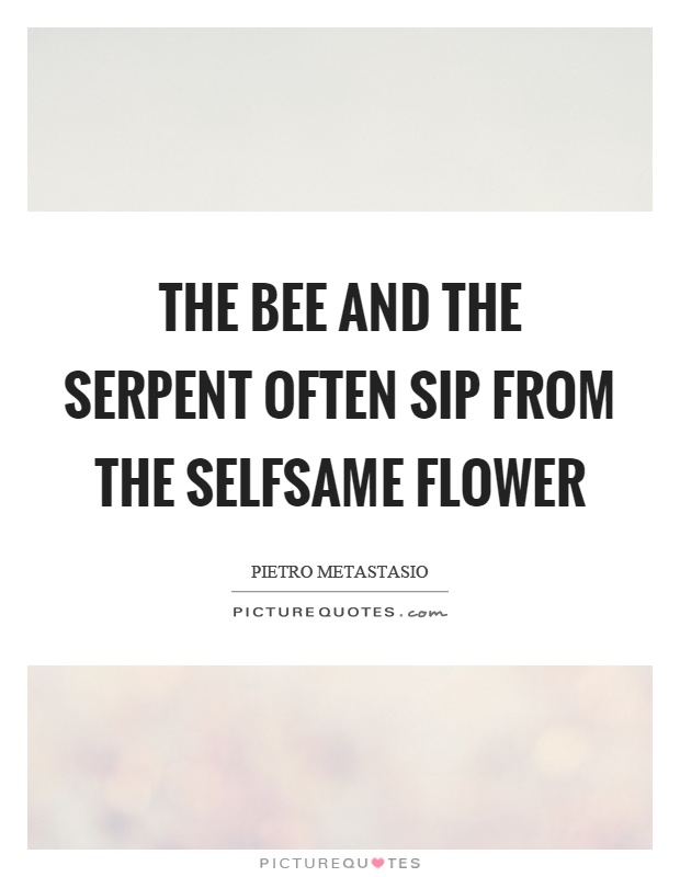 The bee and the serpent often sip from the selfsame flower Picture Quote #1