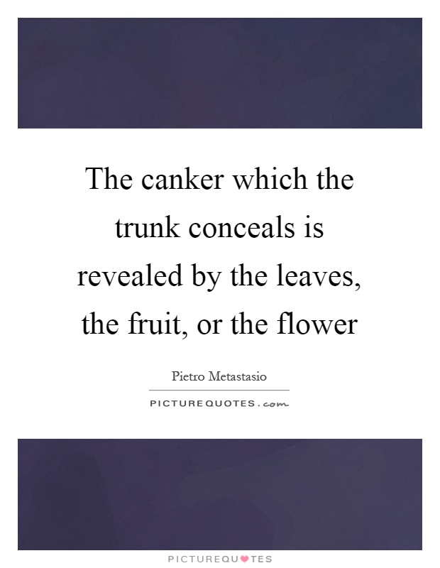 The canker which the trunk conceals is revealed by the leaves, the fruit, or the flower Picture Quote #1