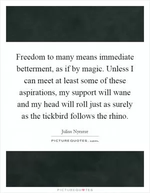 Freedom to many means immediate betterment, as if by magic. Unless I can meet at least some of these aspirations, my support will wane and my head will roll just as surely as the tickbird follows the rhino Picture Quote #1