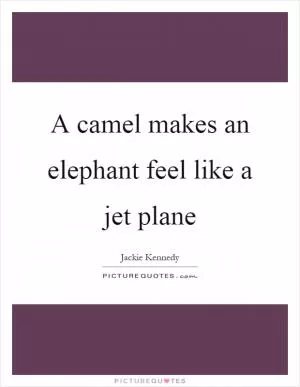 A camel makes an elephant feel like a jet plane Picture Quote #1
